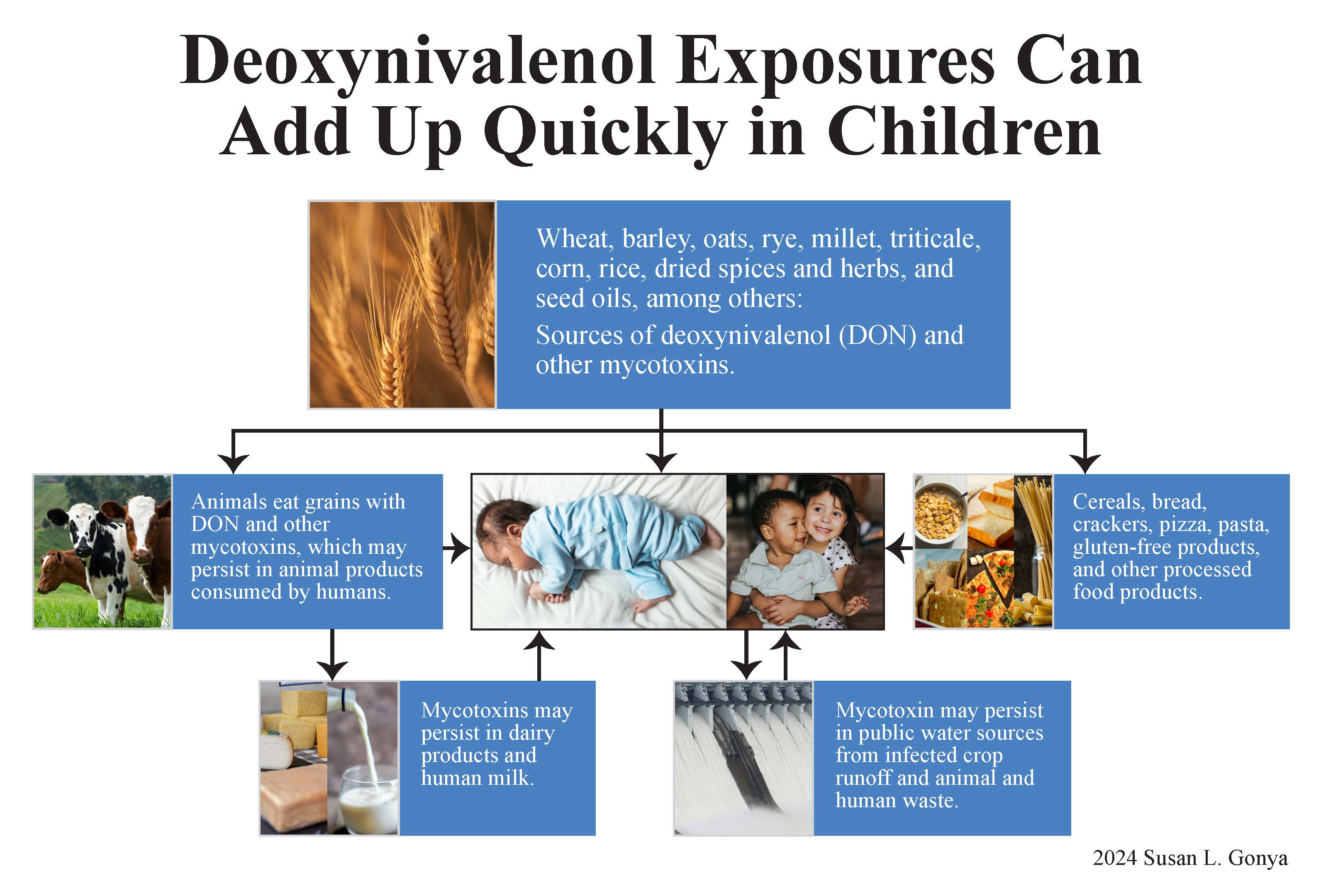 Hidden Hazards: Mycotoxin Contamination in Baby Products